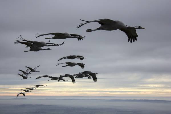 Bild: Unsere Wildnis
