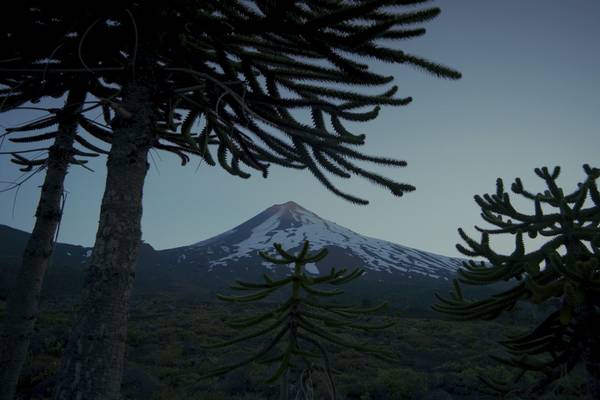 Bild: Voyage Of Time