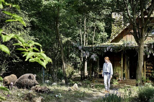 Bild: Wildhexe