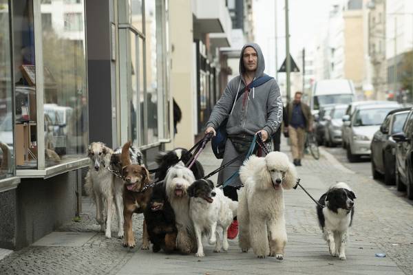 Bild: Wuff