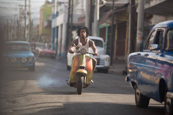Bild: Yardie