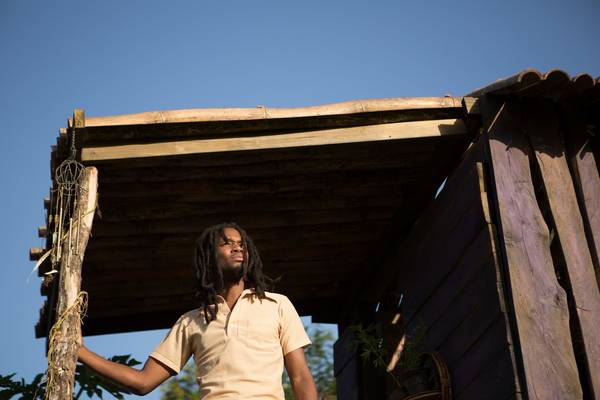 Bild: Yardie