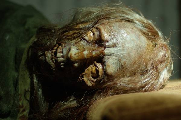 Bild: Zombies! – Überlebe die Untoten