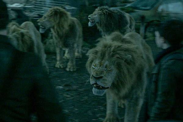 Bild: Zoo – Staffel 3
