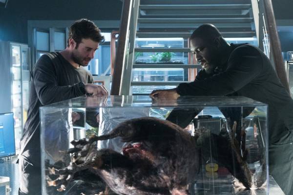 Bild: Zoo – Staffel 3